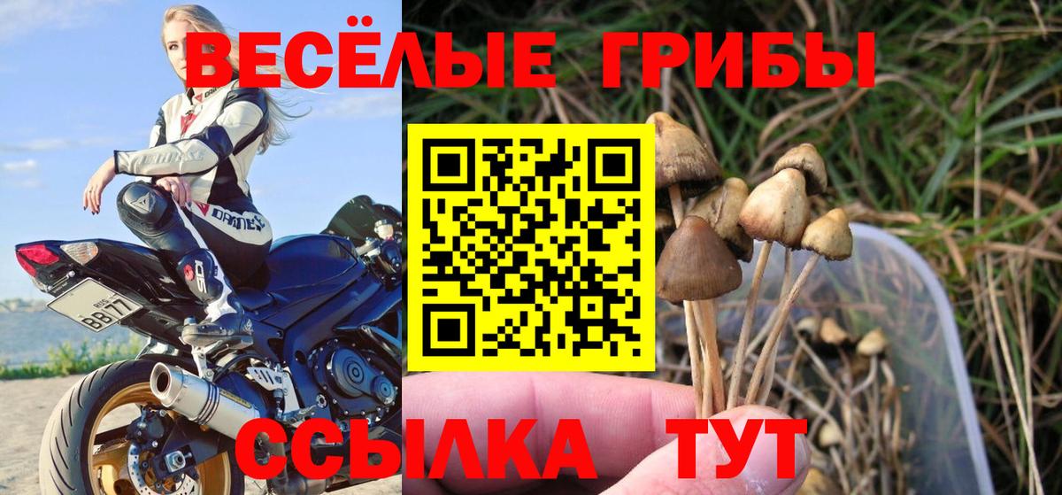 Йошкар-Ола  Псилоцибиновые грибы GOLDEN TEACHER  Вход с VPN 