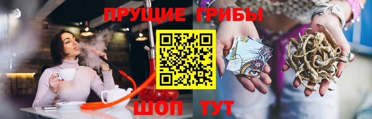 Галлюциногенные грибы GOLDEN TEACHER Йошкар-Ола